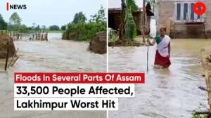 Assam Flood 2023: Nearly 33,500 People Affected, Lakhimpur Worst Hit