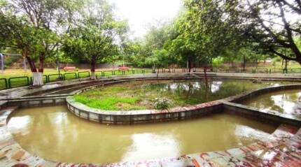 Delhi rainwater harvesting