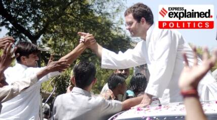 What Rahul Gandhi was doing before joining politics